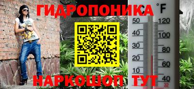 сатива Нальчик
