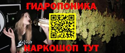 сатива Нальчик