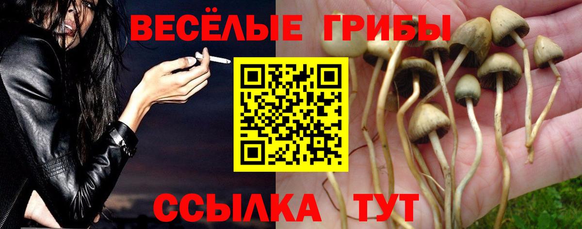 Чистополь  Галлюциногенные грибы прущие грибы  Вход с VPN 